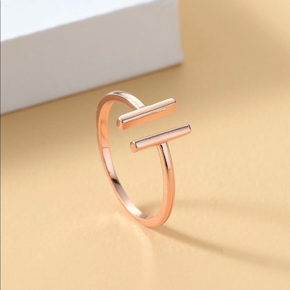LAST ONE! Christopher Street Rose Gold Bar Ring - Picture 4 of 4